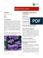 García PDF