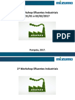 Workshop Efluentes Industriais