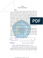 Bab 2 PDF