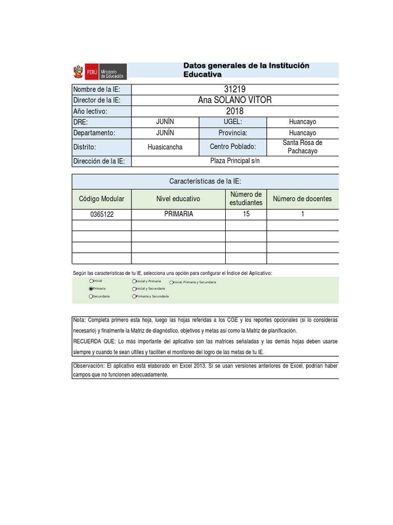 PAT y ECE 2025 en Educación Primaria | PDF | Educación Secundaria ...