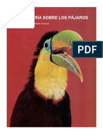 Los Pajaros