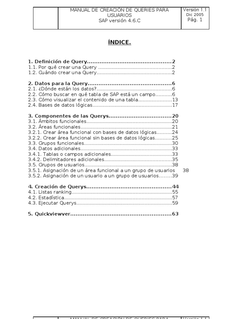 QUE ES UNA QUERY EN SAP visual data 7