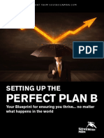 SM_Perfect_Plan_B_Guide.pdf