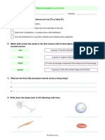 Natural Sciencie 5 Fichas