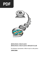 Protocolos BCI_BCM 2005-06.pdf