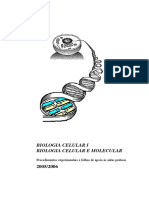 Protocolos BCI_BCM 2005-06.pdf