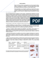 18665465-PROTOZOARIOS.doc