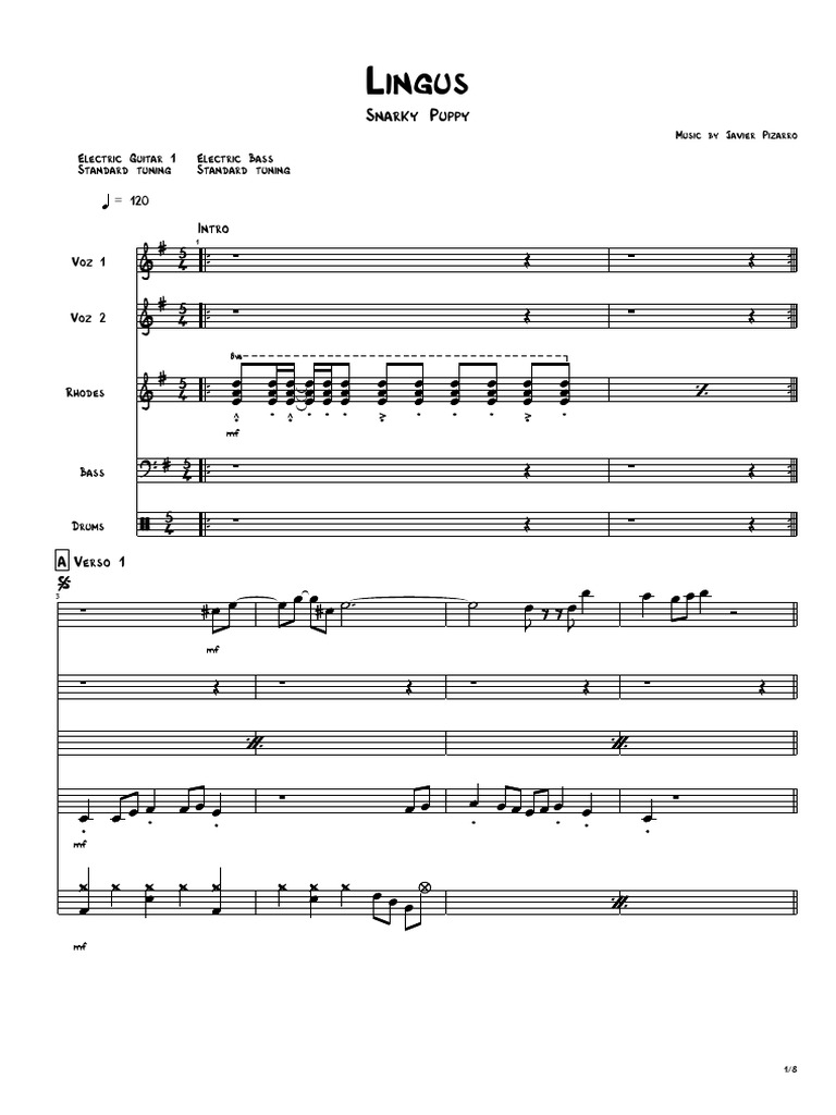 Lingus Snarky Puppy | PDF