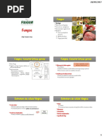 Aula sobre os Fungos