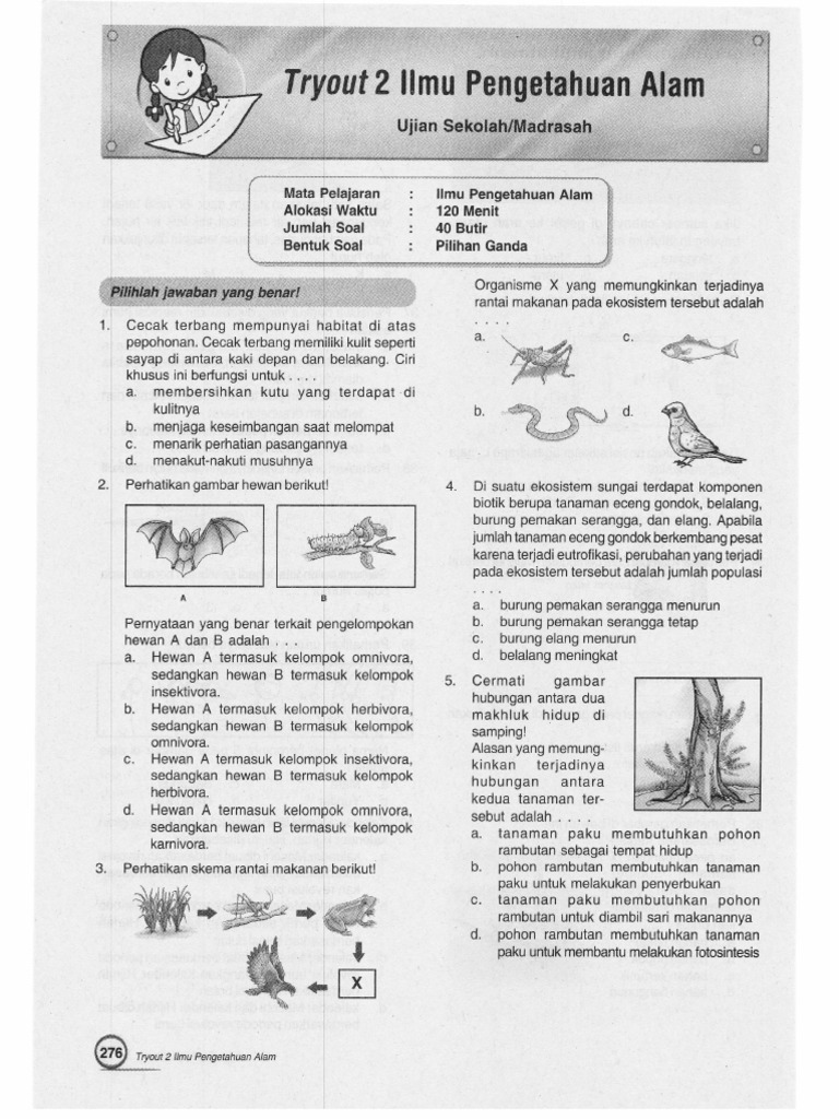 680+ Gambar Hewan Berikut Termasuk Kelompok Insektivora Karena Pemakan Gratis Terbaru