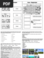 EXERCÍCIOS - BIOMAS