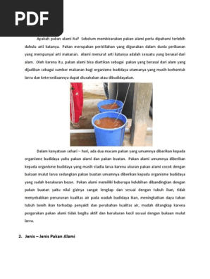Pakan Buatan Umumnya Berbentuk Dunia Sekolah