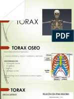 Torax