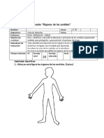 Pruebacienciasnaturalesrganosdelossentidos 150428204139 Conversion Gate01