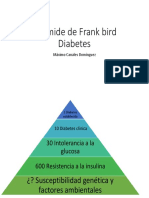 Pirámide de Frank Bird Diabetes