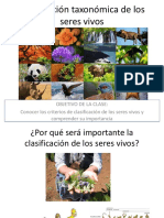 Clasificación de Las Especies