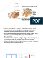 Patofisiologi GERD