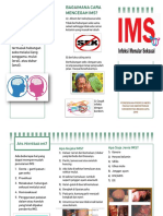 Leaflet IMS 1
