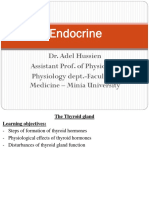 Endocrine: Dr. Adel Hussien Assistant Prof. of Physiology Physiology Dept.-Faculty of Medicine - Minia University