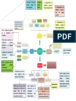 Cuadro Conceptual - Farmacologia Cardiaca