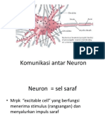Komunikasi Antar Neuron (Neurotransmiter)