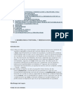 biomecanica-postural.pdf