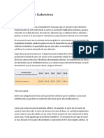 Carne de Res en Sudamérica