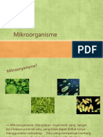 Mikroorganisme