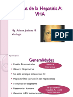 Virusdelahepatitisa 110911055453 Phpapp02