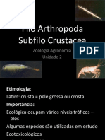 filoarthropodacrustacea-110612162034-phpapp02