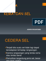 CEDERA Dan Kematian Sel