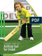 Section 2 Part 5 - Artificial Turf for Cricket