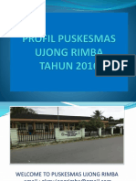 Profil Puskesmas Ujong Rimba