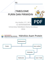 Purin-Pirimidin