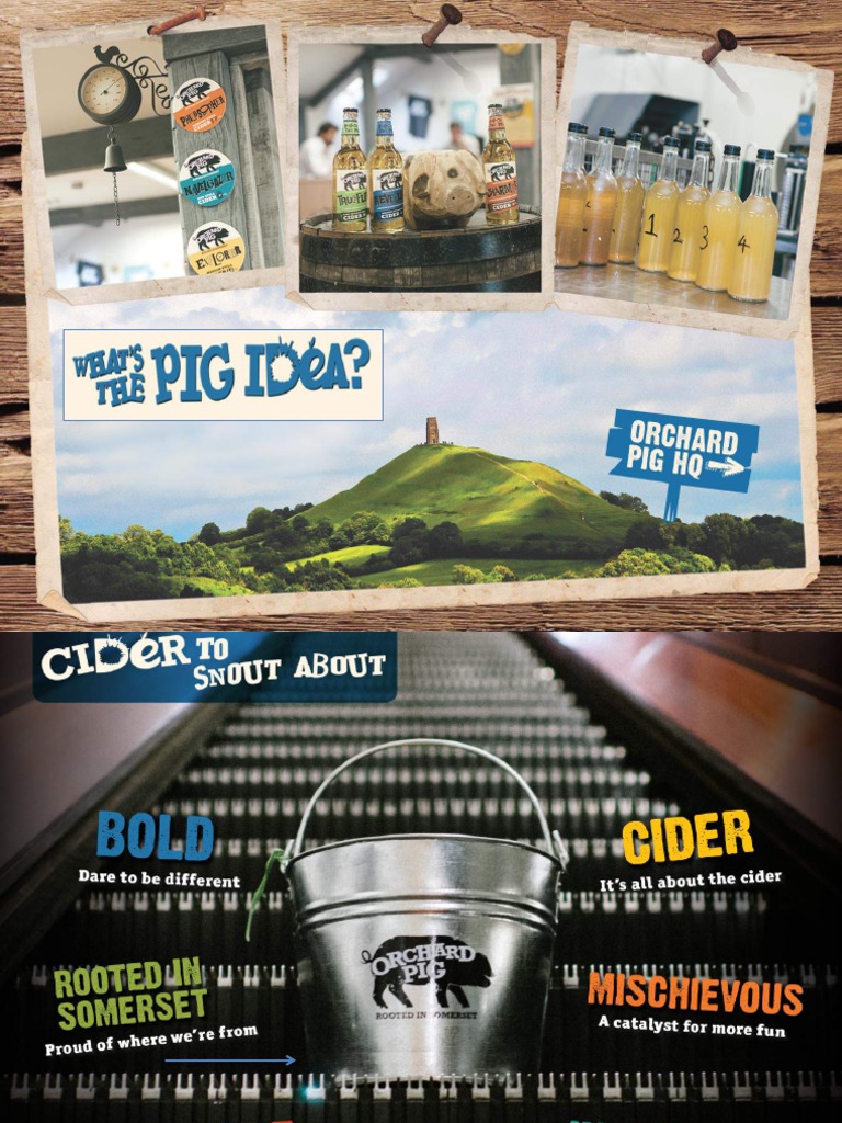 BBC Orchard Pig Brand Positioning | PDF | Fermented Drinks | Beer