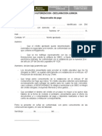 Carta Autorizacion DJ Respago