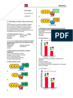 Biology Olympiad Activity Book: Metabolism