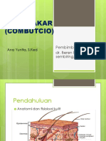 PPT LUKA BAKAR.pptx