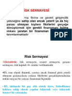 Risk Sermayesi