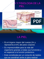 Aula 01-Anatomia y Fisiologia de La Piel