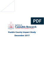 Institute of Cannabis Research: Pueblo County 2017 Impact Study