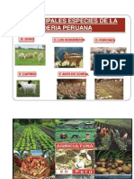 Agricultura y Ganaderia