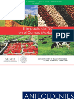 Presentación Impacto TLC en el campo mexicano.pdf