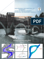 INFORMES NO 01. MORFOLOGÍA DEL RIOv PDF