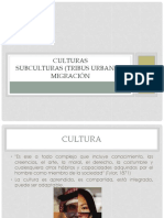 Cultura, Tribus Urbanas y Migración