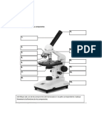 Preinforme de La Practica de Laboratorio No. 1