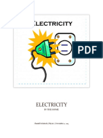 Electricity in the Home - Copy