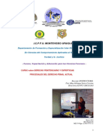 Programa Curso Derecho Procesal Penal Actual Icpfu 2018