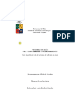 Historias-de-Aisén-vida-y-costumbres-de-un-pueblo-reciente.