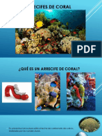 Arrecifes de coral: ecosistemas marinos